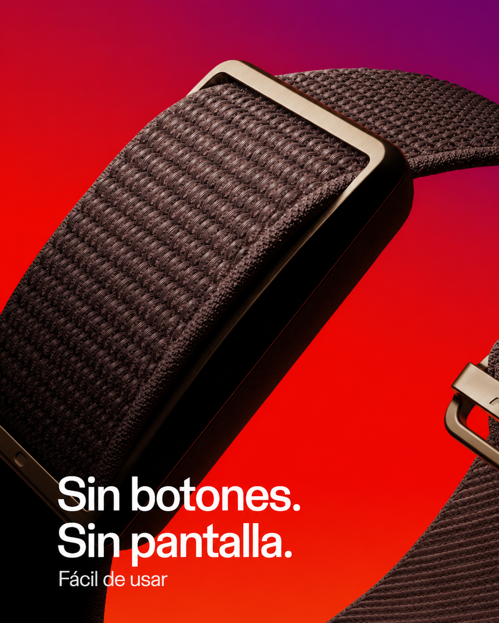 Polar Loop Café — sin botones ni pantalla