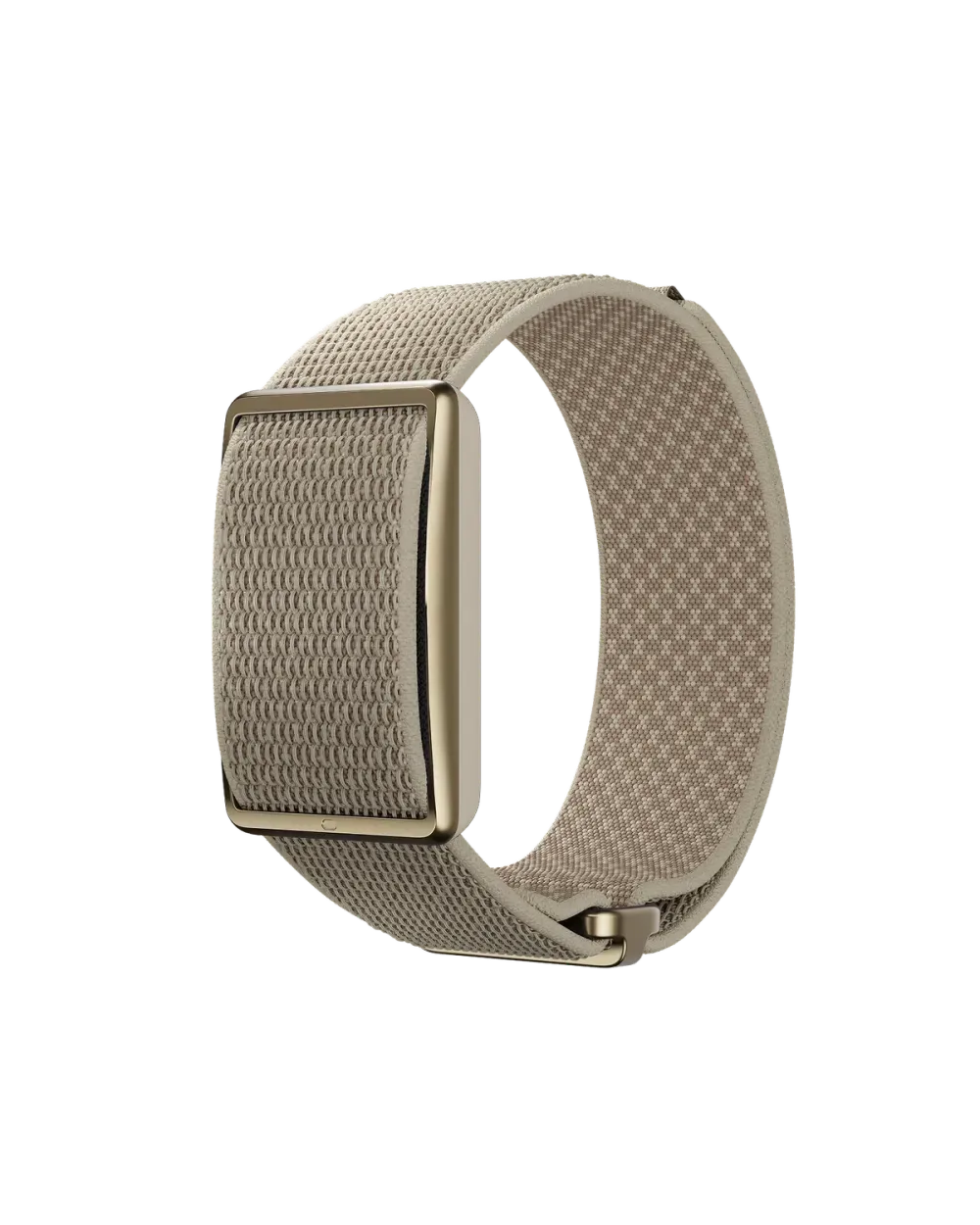 Polar Loop Dorado — vista tres cuartos
